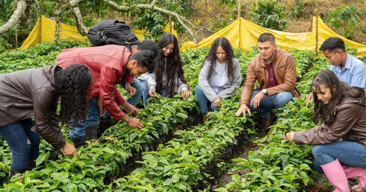 Empowering young coffee farmers through training in human rights - News ...