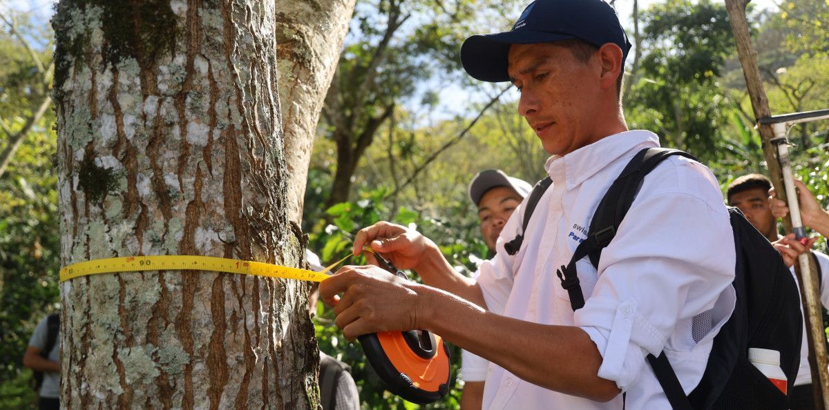 Promoting Sustainability Measuring the Carbon Footprint of Coffee